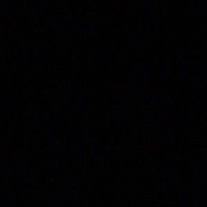 Meet your Posher, Kenny